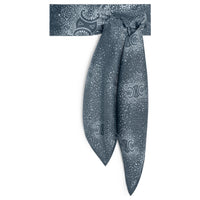 CELINE Silk Silk Scarves Women's Gray