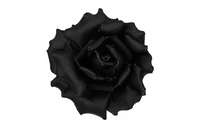 SAINT LAURENT Brooches Women's Black