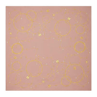 CELINE Silk Scarves Women's Pink