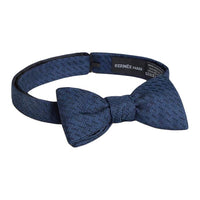 HERMES Mulberry Silk Ties Men's Blue