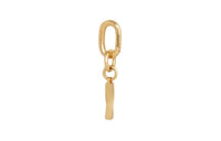CELINE I Charm In Brass
