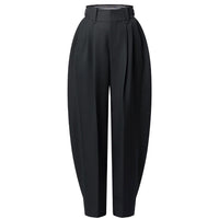 LOUIS VUITTON Technical Gabardine Pleat Pants