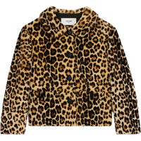 CELINE Velvet feel Coat Women's Leopard Print