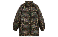 CELINE FW21 Down Jacket Men's Army Green