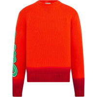DIOR Dior And Kaws Capsule Collection SS25 Sweater Men's Orange