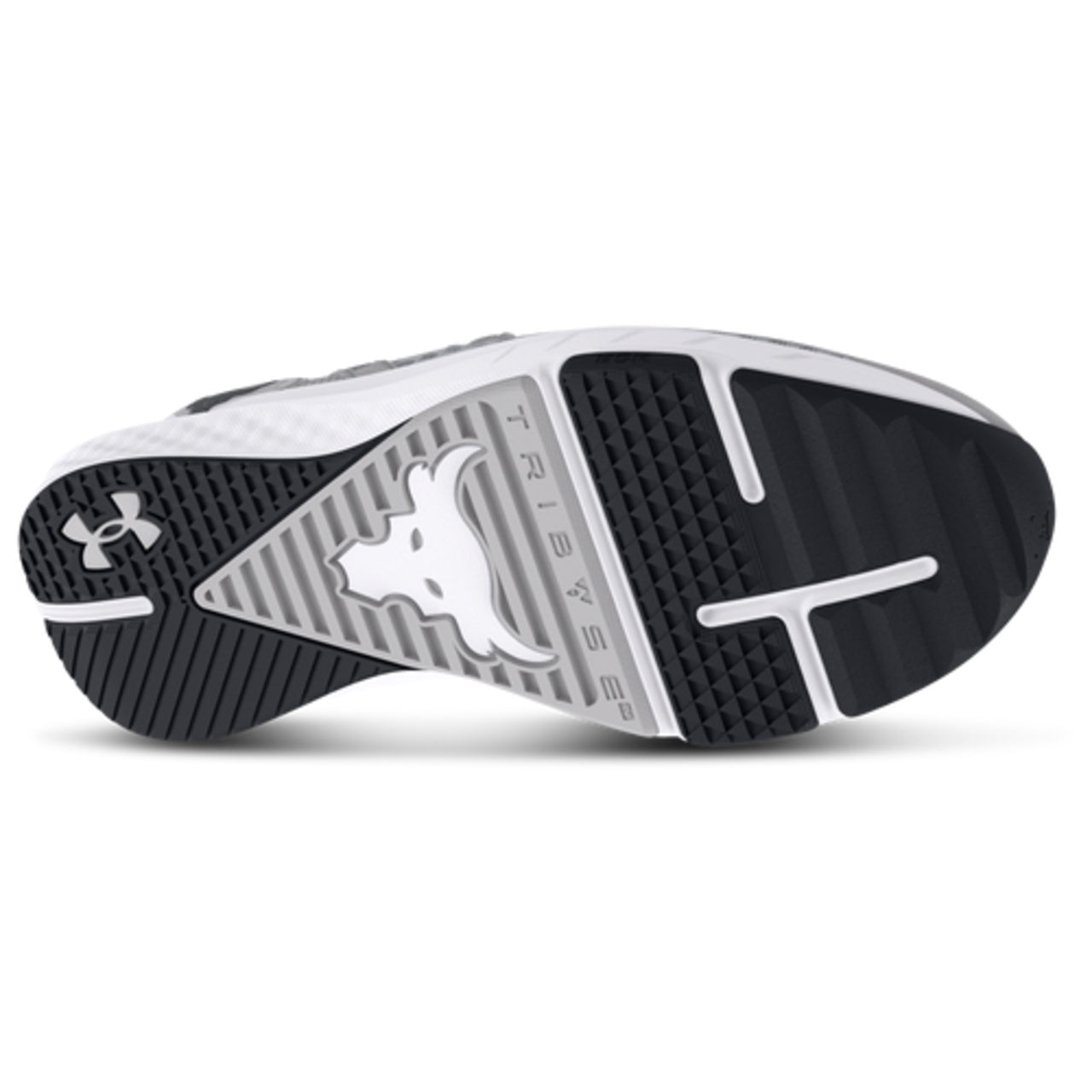 Under Armour Project Rock BSR 'Halo Grey Black' 3027344-102
