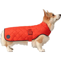 HERMES Pet Clothing