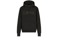 DIOR X Peter Doig Logo Hoodie