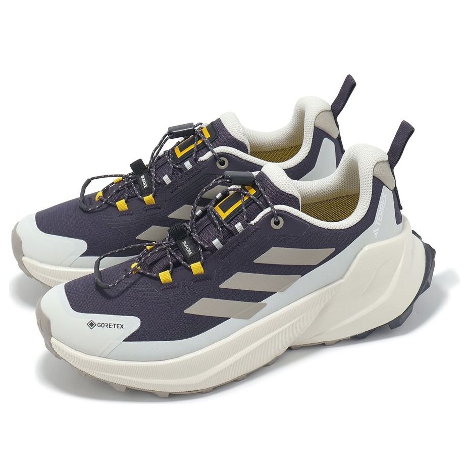 (WMNS) adidas x National Geographic Terrex Trailmaker 2 Gore-Tex 'Aurora Black Beige' JP7065