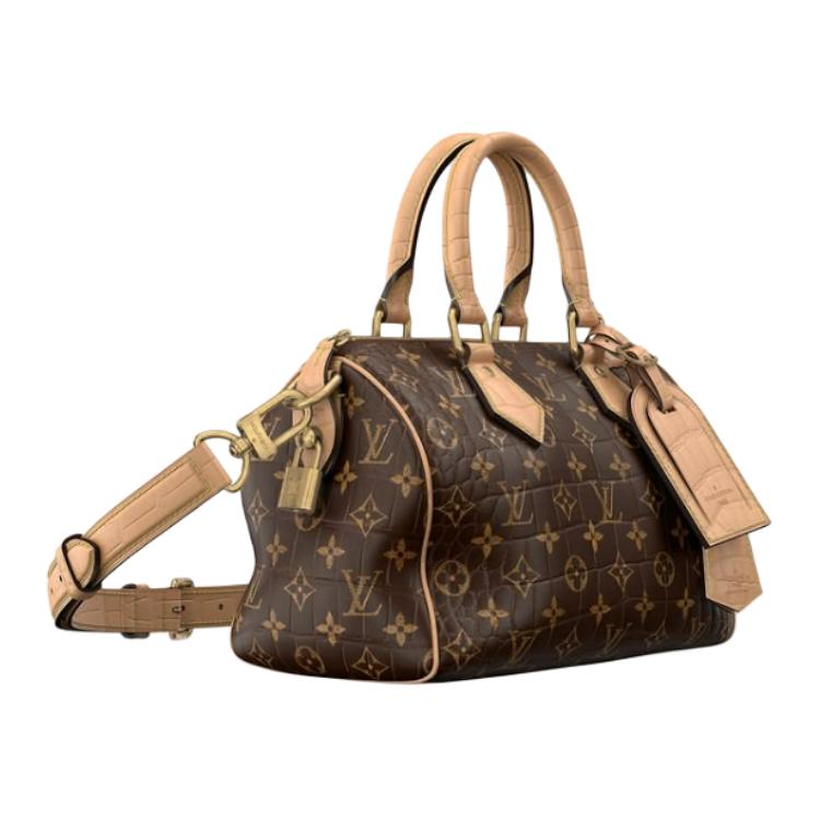 LOUIS VUITTON Speedy Leather Trim Handbag Women's Brown