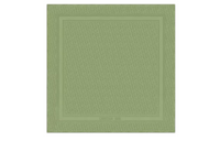 DIOR Oblique Shawls Women's Basswood Green