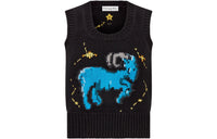 DIOR Capricorn Zodiac Knitted Top