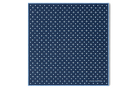 LOUIS VUITTON Silk Scarves Men's Blue