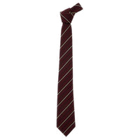 SAINT LAURENT   Ties Unisex Multicolor