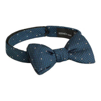 HERMES Mulberry Silk Ties Men's Blue
