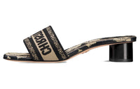 DIOR Dway Antibacterial Slide Slippers Women's Black Rice