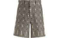 DIOR Geometric Patterned Casual Shorts
