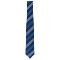 LOUIS VUITTON Ties Women's Blue