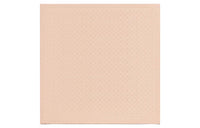 LOUIS VUITTON Shawl Women's Pink