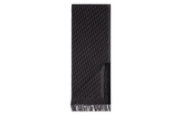 DIOR Silk Scarves Men