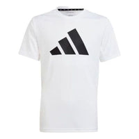 (GS) adidas Train Essentials Aeroready Logo Regular-Fit T-Shirt Asia Sizing 'White Black' HS1603