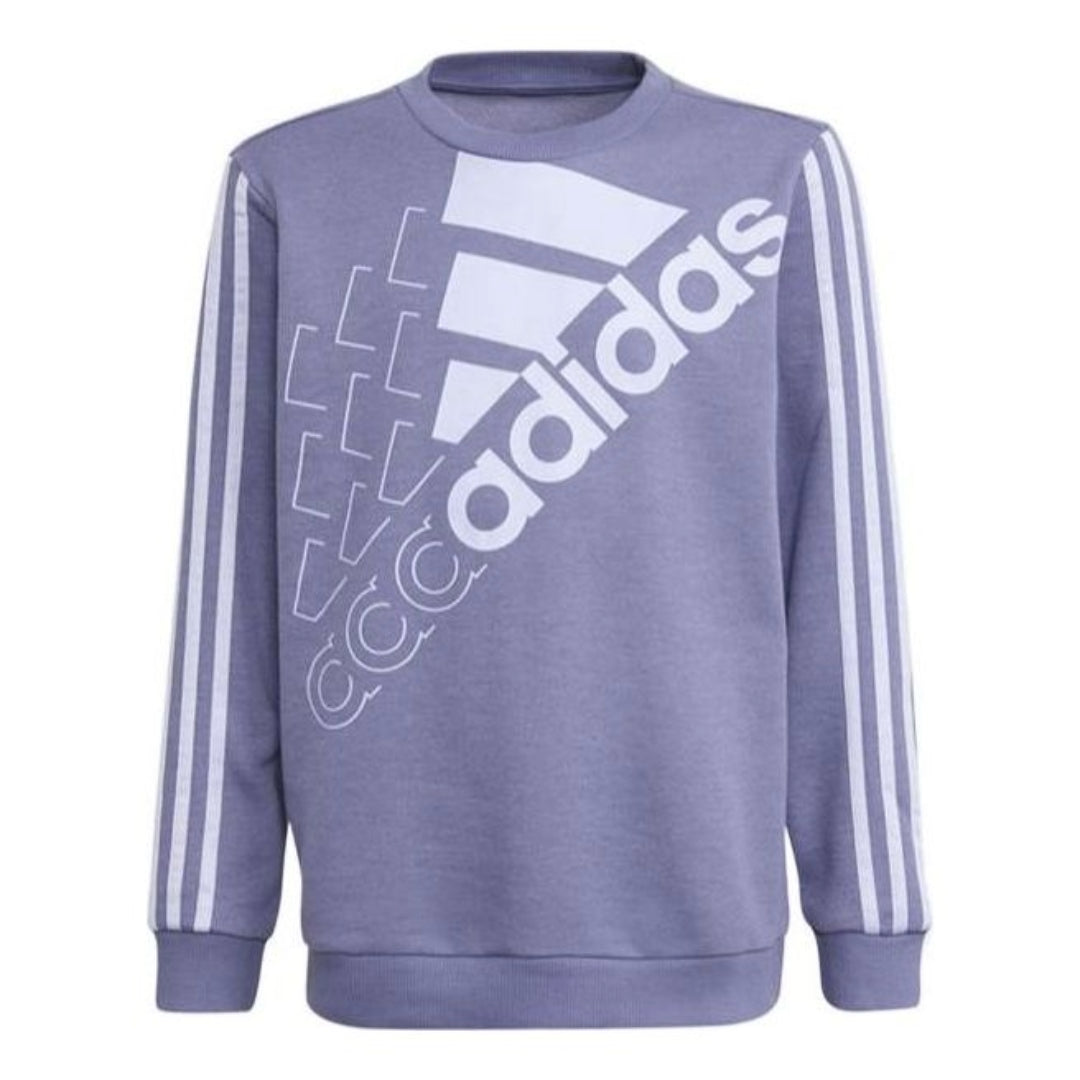 (GS) adidas Sportswear Logo Sweatshirt Asia Sizing 'Purple White' GS2181