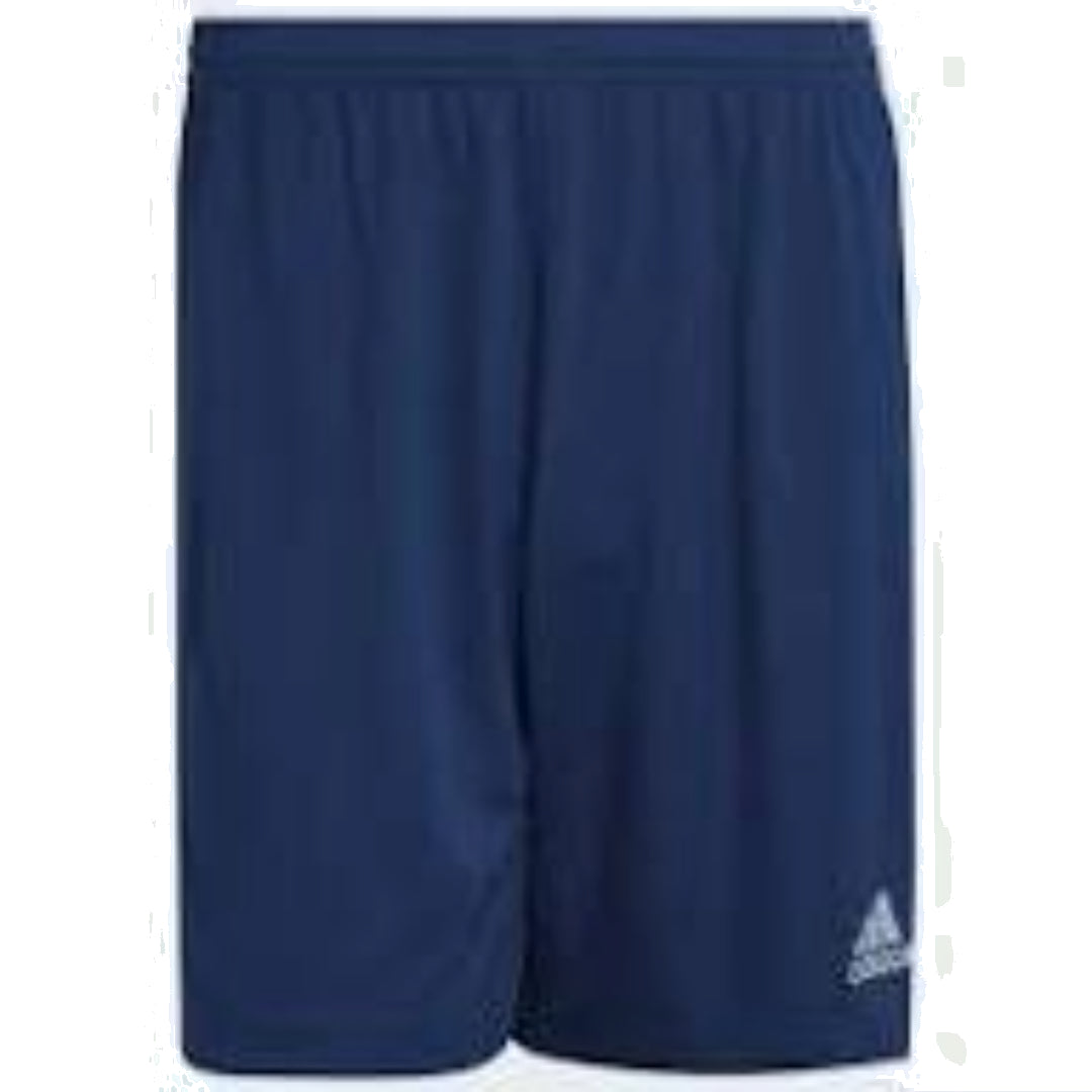 adidas Entrada 22 Shorts Asia Sizing 'Blue' H57506
