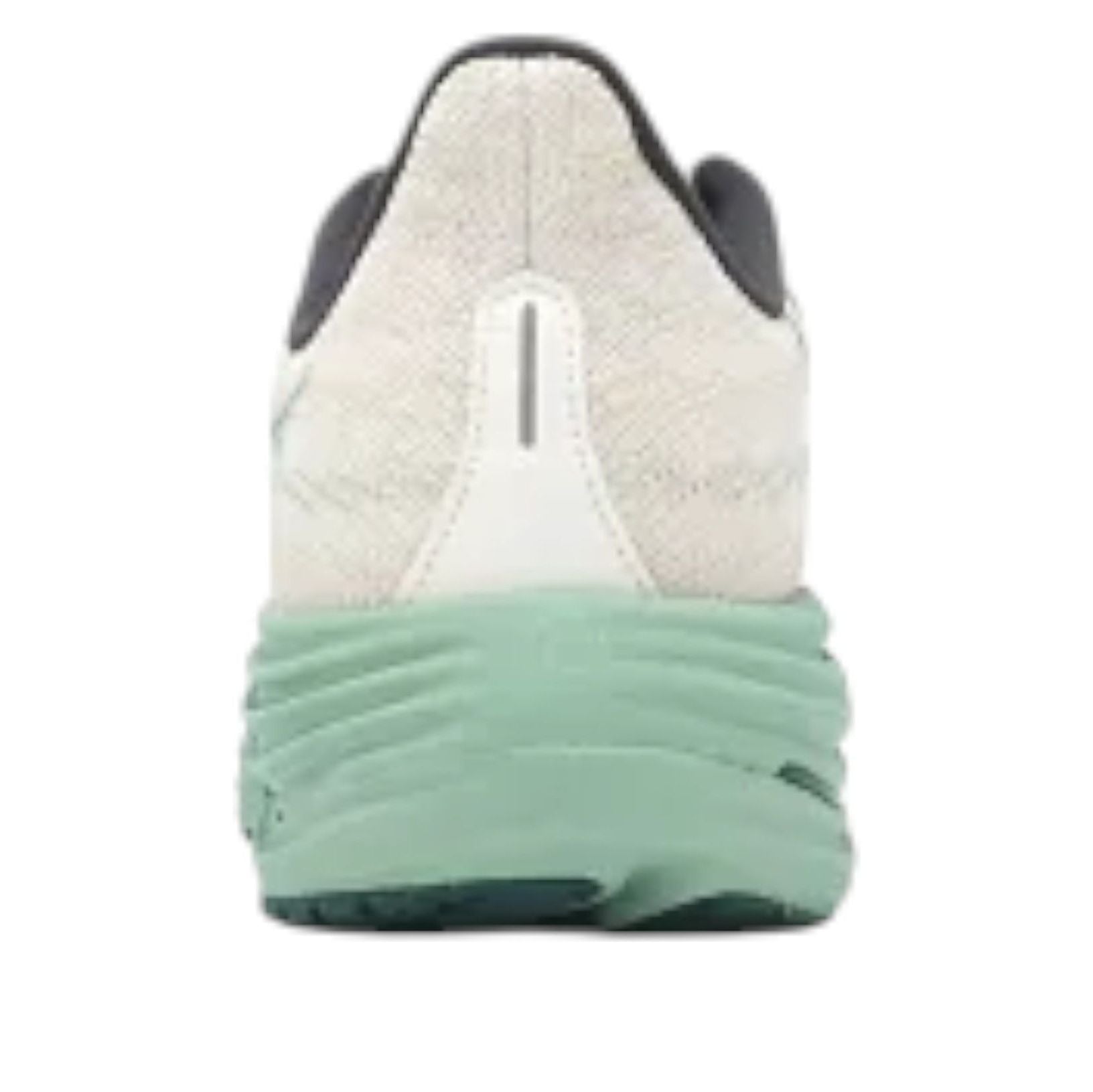 Mizuno Wave Rider 29 Wide 4E 'White Green' J1GC250409