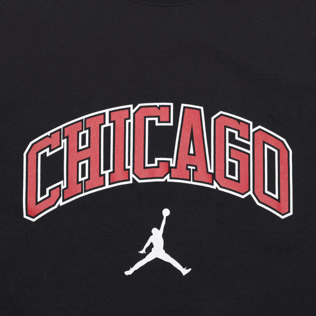 Air Jordan SS23 T DX5591-010