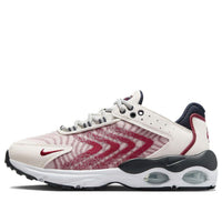 (GS) Nike Air Max TW 'Light Smoke Grey Red' DQ0296-005