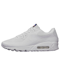 Nike Air Max 90 Hyp Qs 'USA' 613841-110