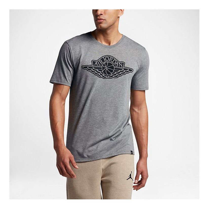 Apparel s Men Air Jordan Iconic Wings Logo Tee 834476-091