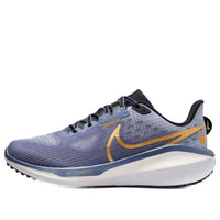 (WMNS) Nike Air Zoom Vomero 17 'Diffused Blue' FB8502-400