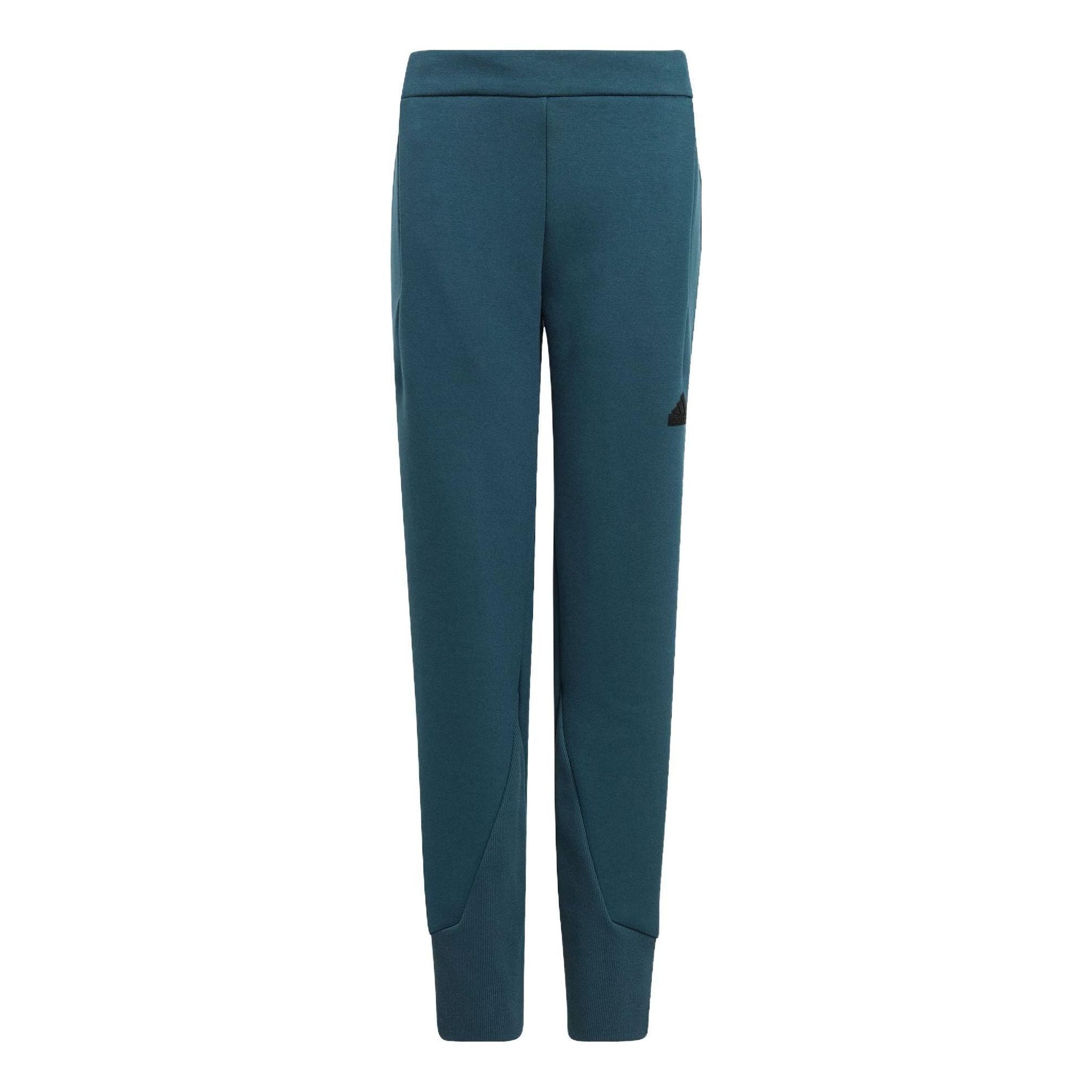 (GS) adidas Z.N.E. Pants Asia Sizing 'Teal' IB3991