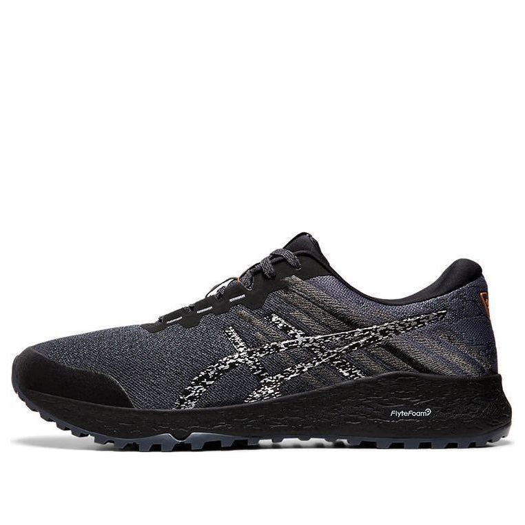ASICS Alpine XT 2 'Carrier Grey Silver' 1011A564-020