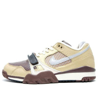 Nike Air Trainer 2 SB 'Metallic Gold Reflect Silver' 318480-701