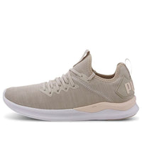 (WMNS) PUMA Ignite Flash EvoKnit 'Silver Cloud Rosewater' 190511-21