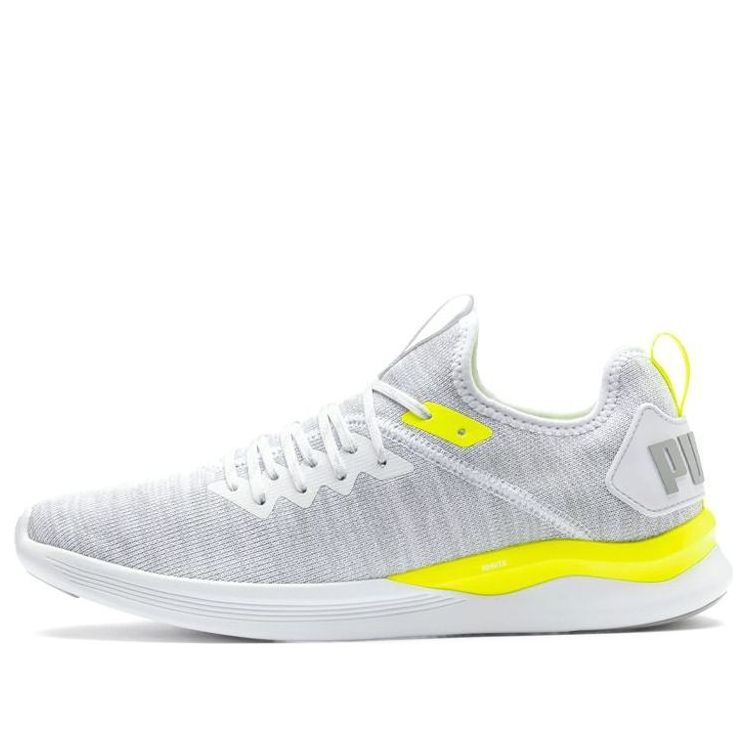 PUMA Ignite Flash Evoknit 'Gray White' 190508-24