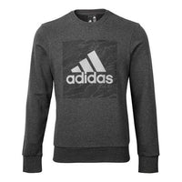 Men's adidas Sports Stylish Pullover Gray DT2495