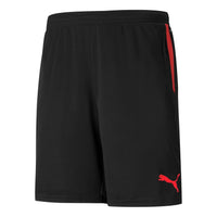 PUMA Individual Cup Shorts 'Black' 657546-01