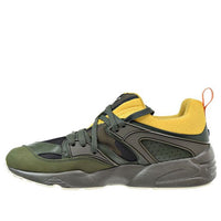 PUMA Blaze Of Glory Green Low Tops Sports Shoe 361408-03