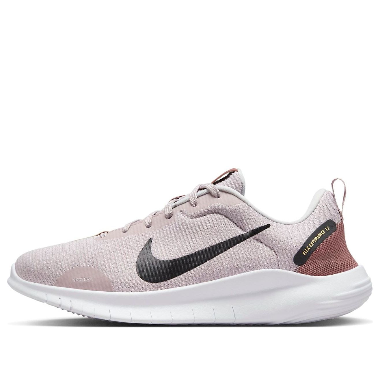 (WMNS) Nike Flex Experience Run 12 'Platinum Violet' DV0746-001