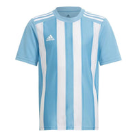 adidas Playershirt Striped 21 Jersey Asia Sizing 'Blue White' GN7633
