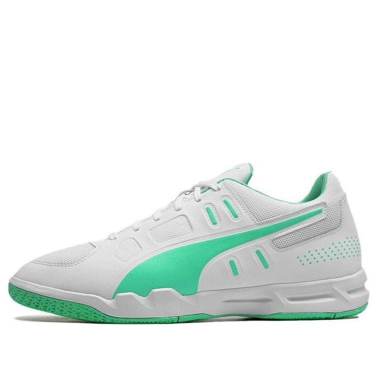 PUMA Auriz Indoor Grey/Green 105600-04