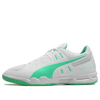 PUMA Auriz Indoor Grey/Green 105600-04