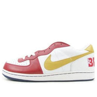 Nike Terminator Zoom Low 'Lebron' 309248-071