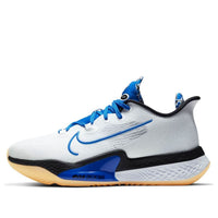 Nike Air Zoom BB NXT 'Sisterhood' DB9990-100