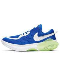(GS) Nike Joyride Dual Run 'Blue White' CN9600-400