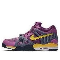 Nike Air Trainer 3 B 'Viotech' 679066-571