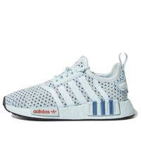 (GS) adidas NMD_R1 'Almost Blue' FZ6249